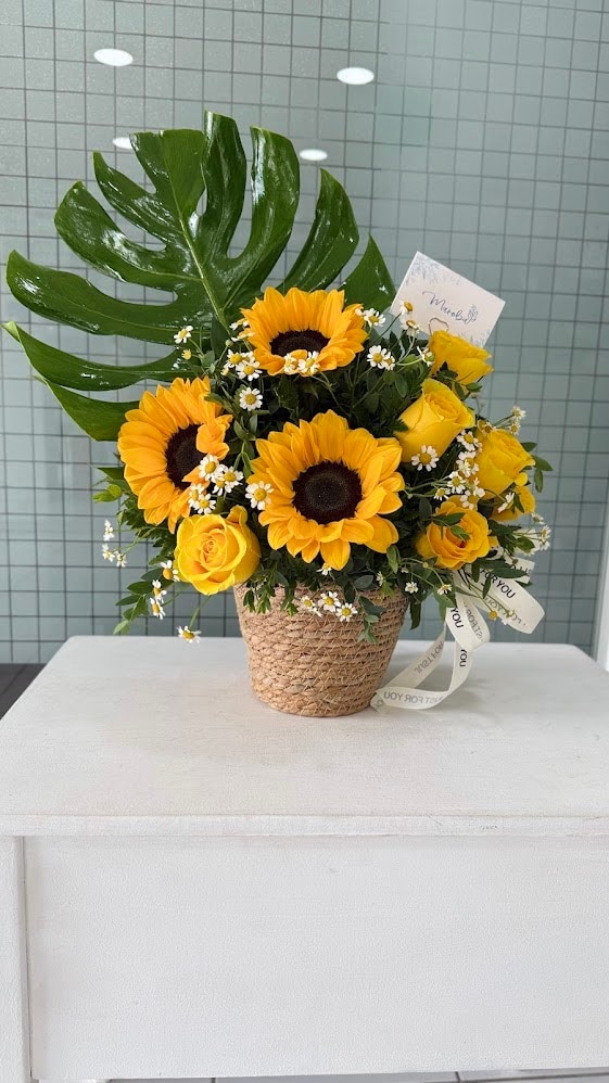 Sunflower